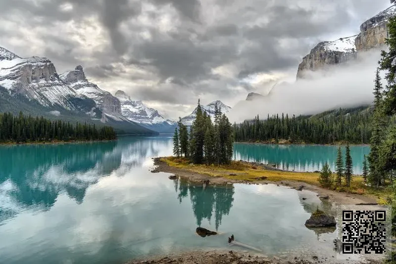 國際設計師聯盟有限公司