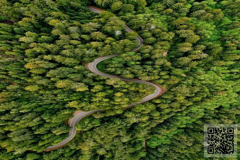 PARAS MANUFACTURERS AND TRADERS LIMITED