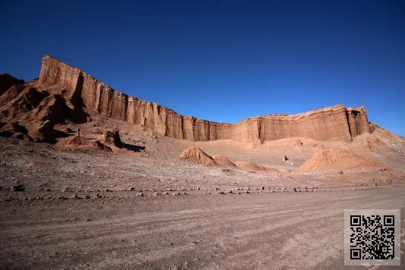 彤鑫輝塑膠五金有限公司