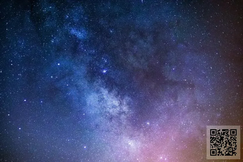 美特投資有限公司