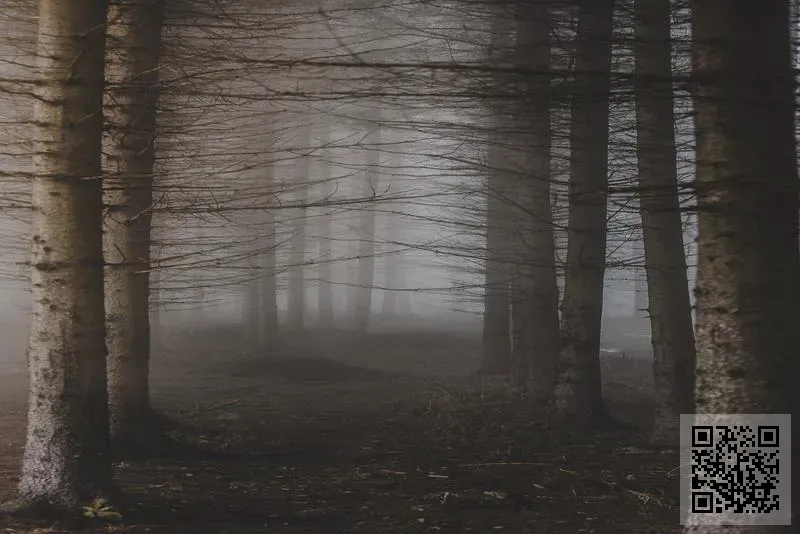 特斯拉國際貿易有限公司