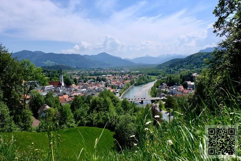 貝鉬科技(香港)有限公司