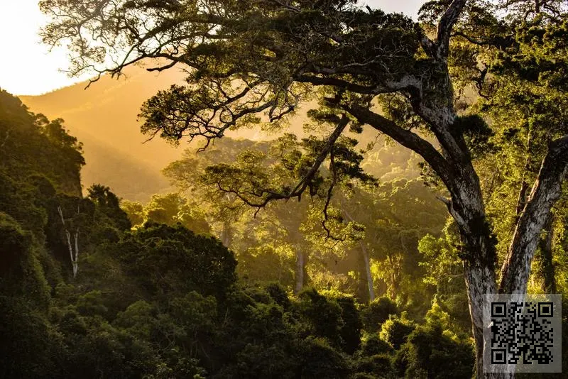 香港眾雅科技有限公司