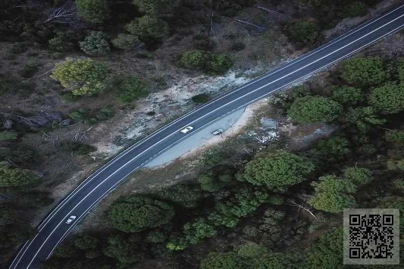 豬八戒科技有限公司