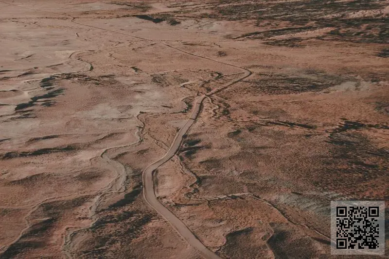 創意桃子有限公司