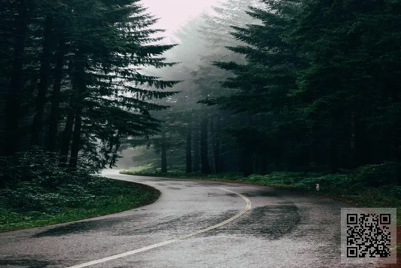 萬順(中港)運輸有限公司