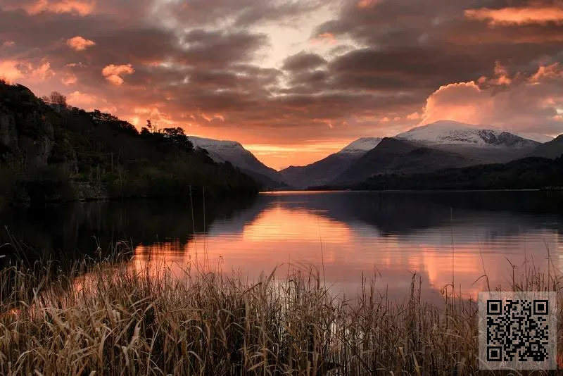 利佳利鞋業(香港)有限公司