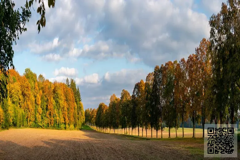 國際綠色生態集團有限公司