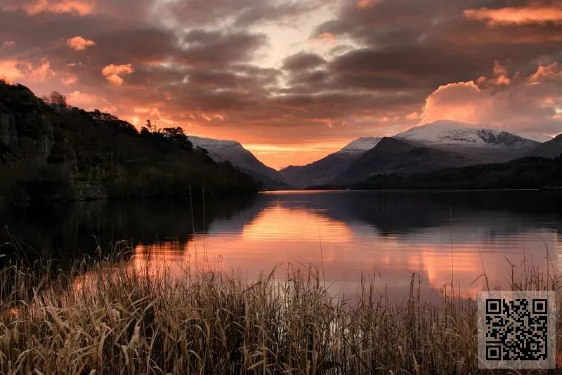 元方控股有限公司