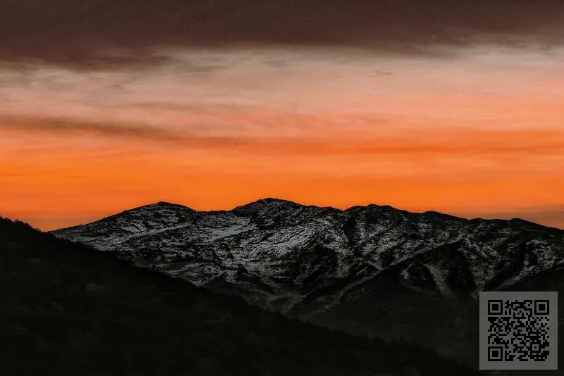 FOREMAST International Company Limited