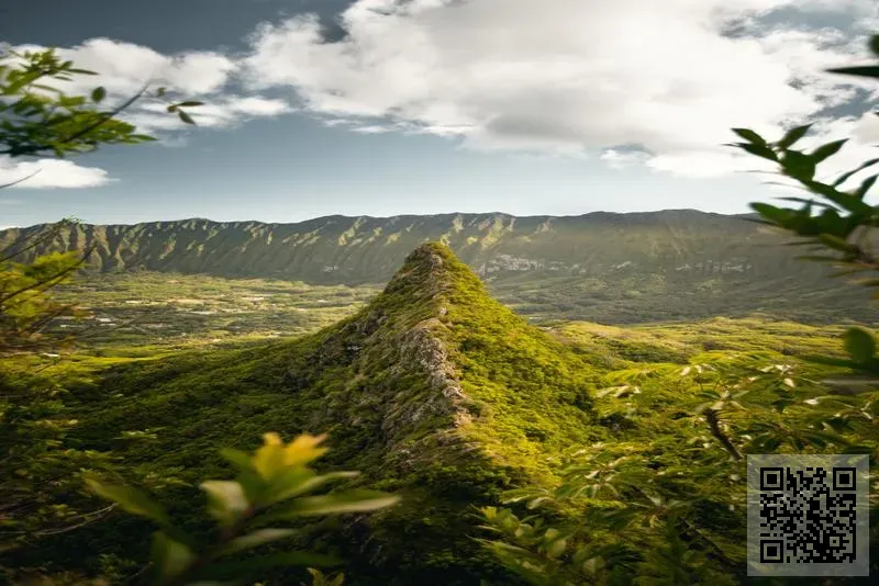 久誠人力資源集團(中國)有限公司