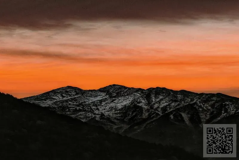 行動概念傳媒集團有限公司