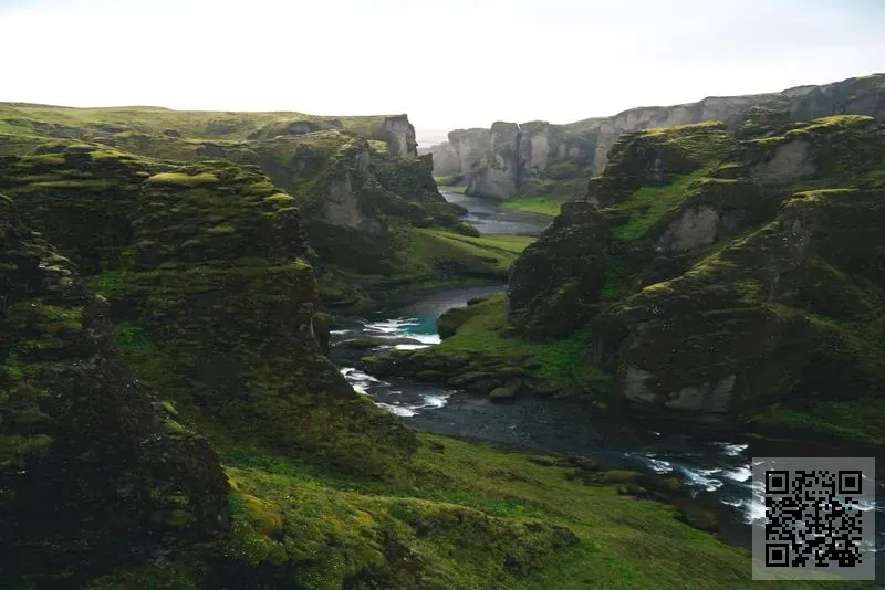 香港金星藝術燈飾有限公司