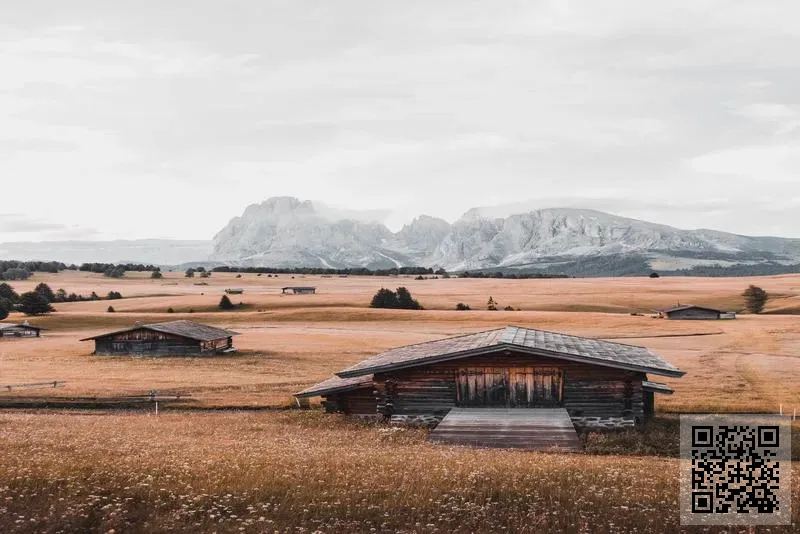 臣達科技網路有限公司