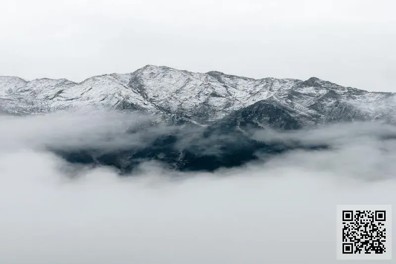 香港寶石集團王氏投資控股有限公司