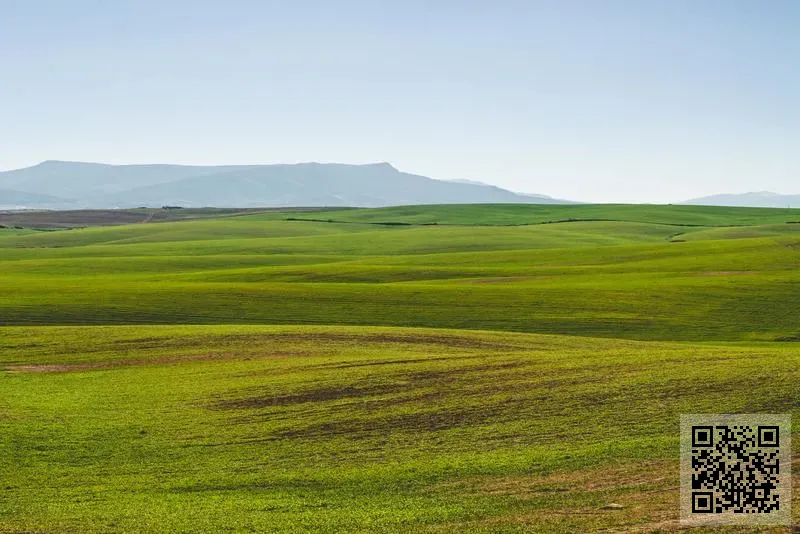一河貿易有限公司