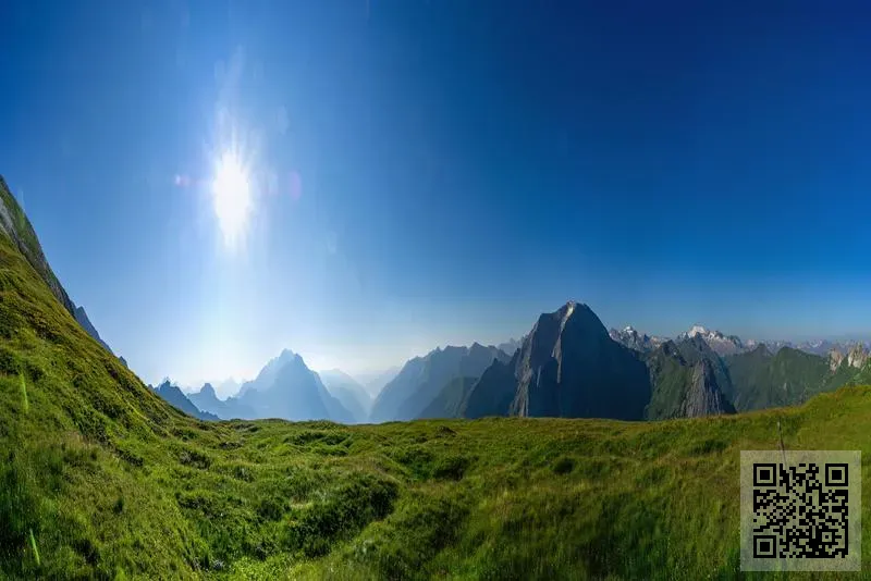 中華海外投資有限公司