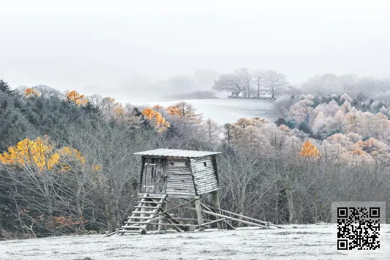 永卓國際集團有限公司