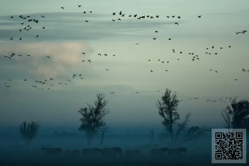 H&M INTERNATIONAL COMPANY LIMITED