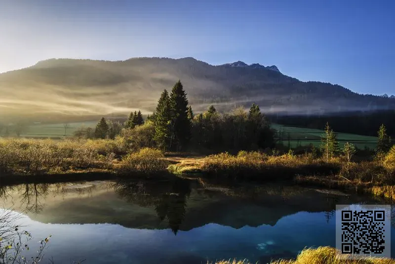 香港倉福塑料有限公司