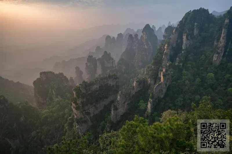 華外控股集團有限公司