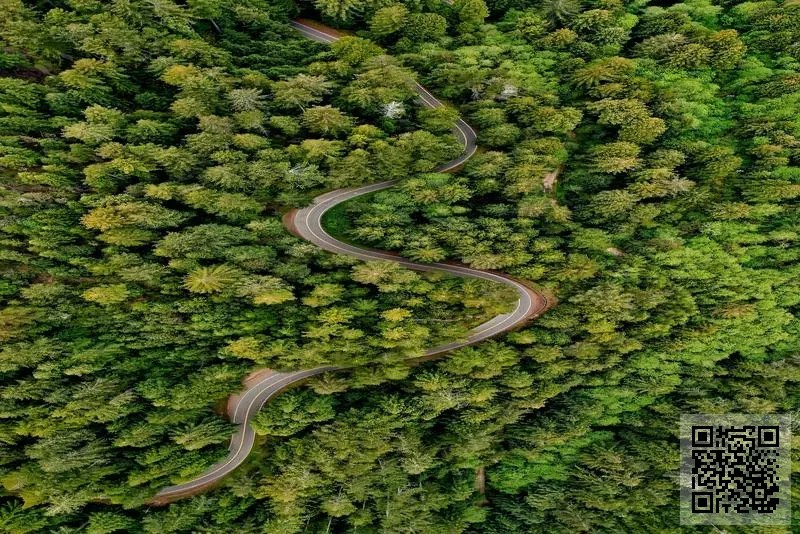 碩隆高科技有限公司