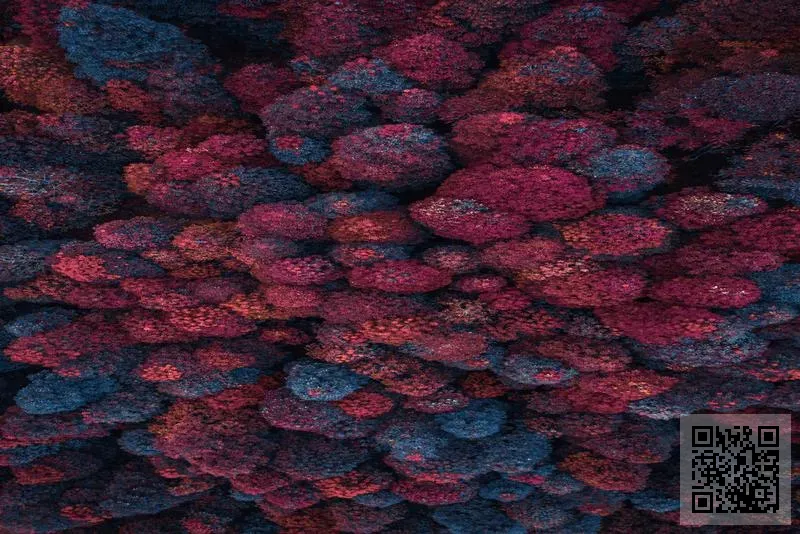 KLIK AND KLAK LIMITED