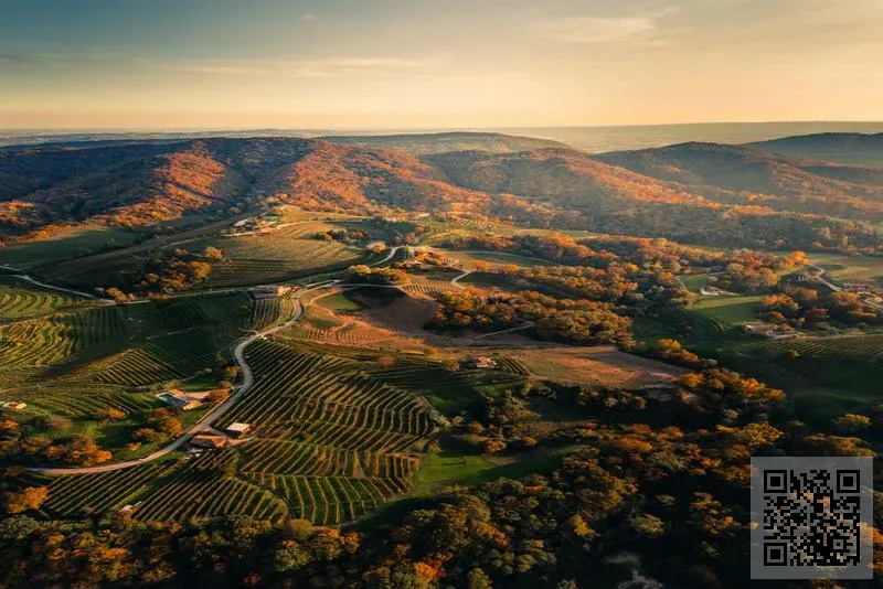 香港瑞銀金控國際有限公司