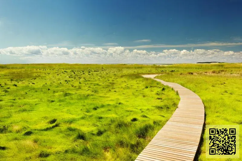 香港特拉斯特科技有限公司