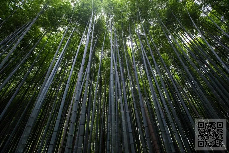 沿界(亞洲)餐飲管理有限公司