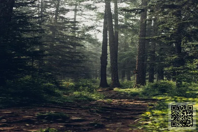 佐羅家實業有限公司