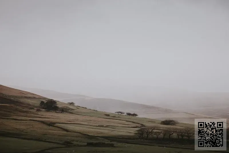 深圳華創商貿有限公司