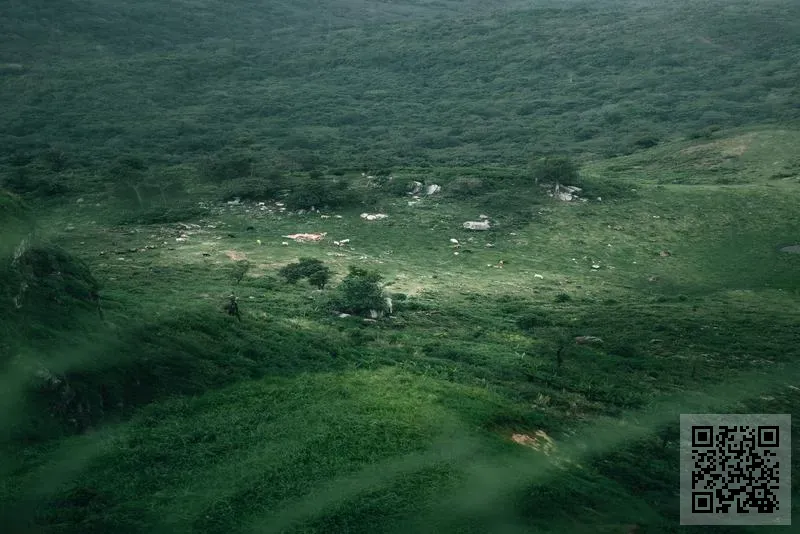 綽維斯國際有限公司