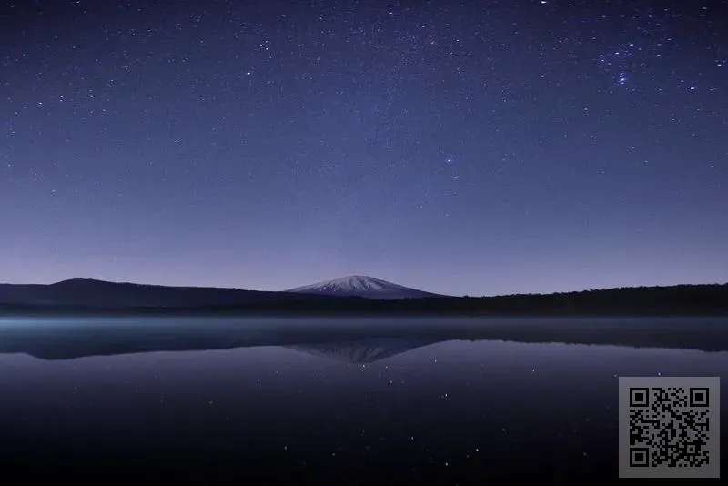 香港海青科技發展有限公司