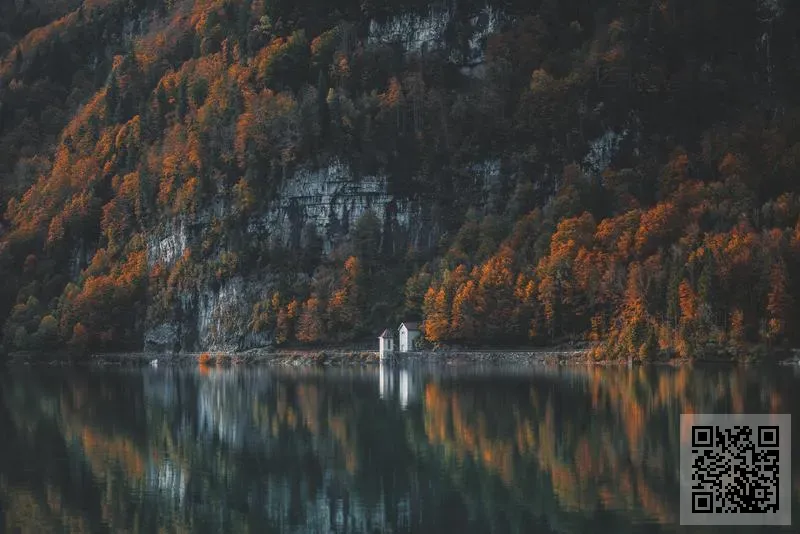 Lisa Marie Isley Counseling Limited