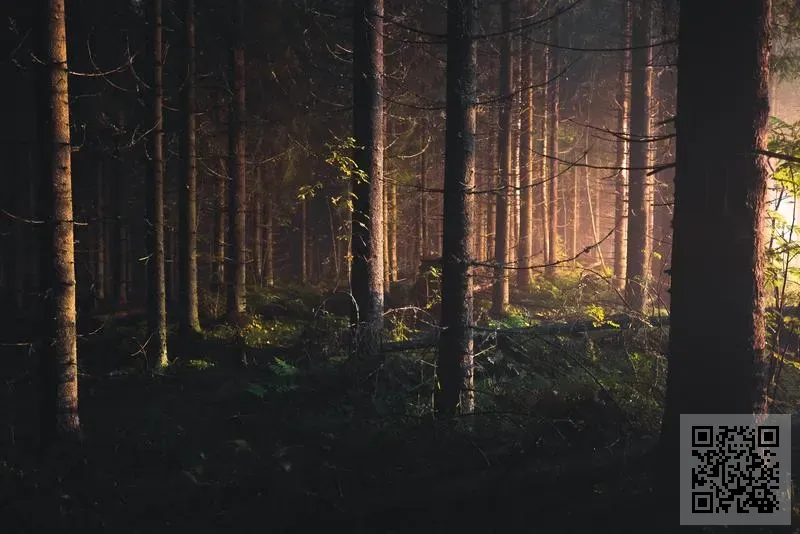 香港杏林堂有限公司