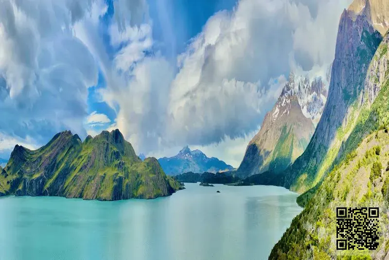 卡西(中國)餐飲管理有限公司