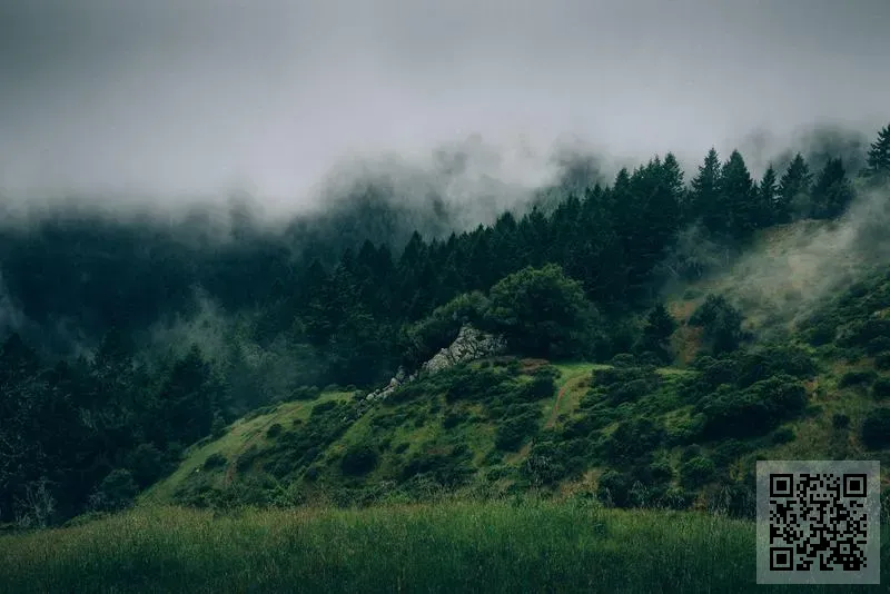 電星電器實業有限公司