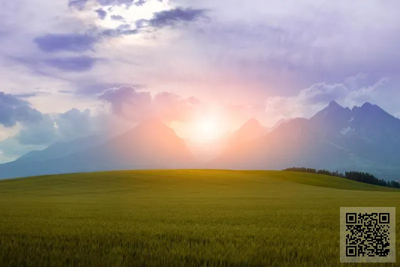 香港克洛蒂亞教育集團有限公司