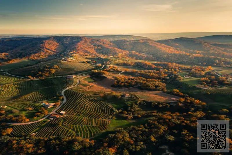 盛瑞馳科技有限公司