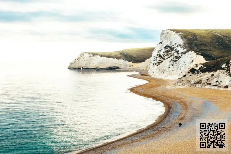 金倫飲食集團有限公司