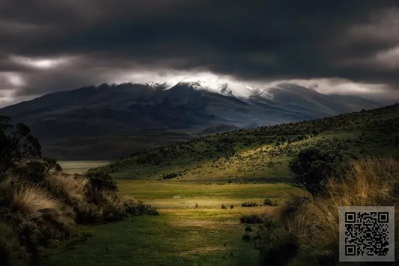 香港匯爵貿易有限公司