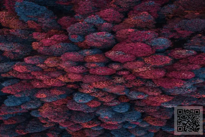 DURRANI BROTHERS (HK) LIMITED