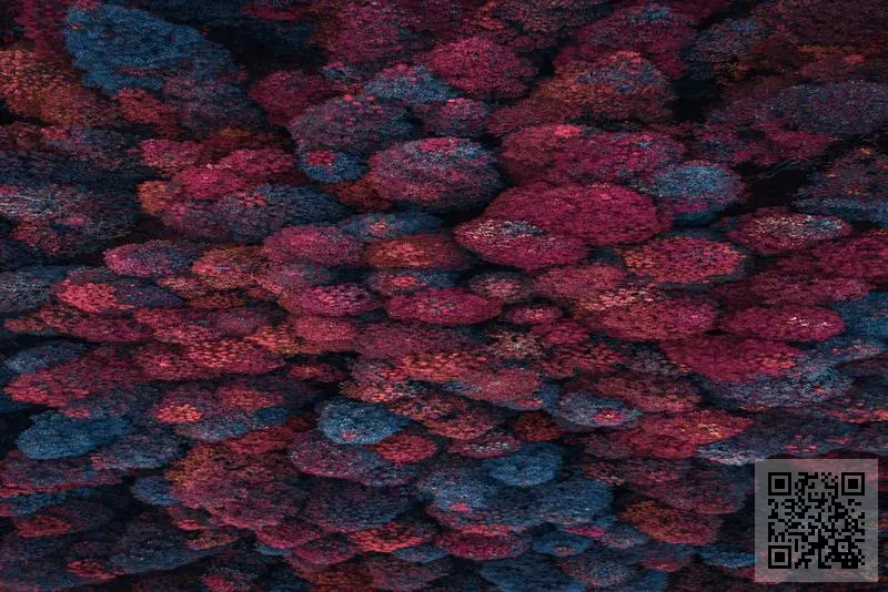 香港旭英國際航運有限公司