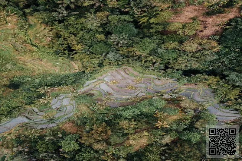 雲鼎國際酒業(香港)有限公司