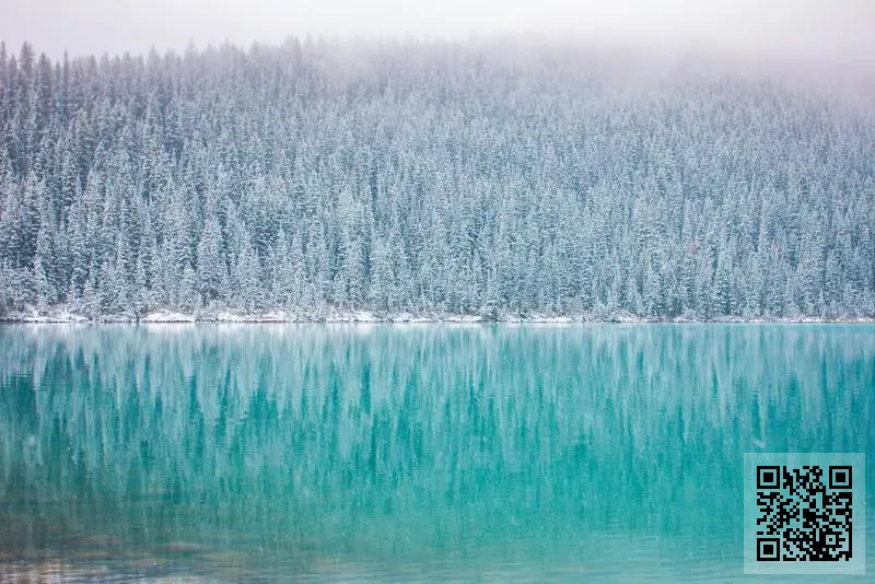 港燕健康(香港)生物科技有限公司