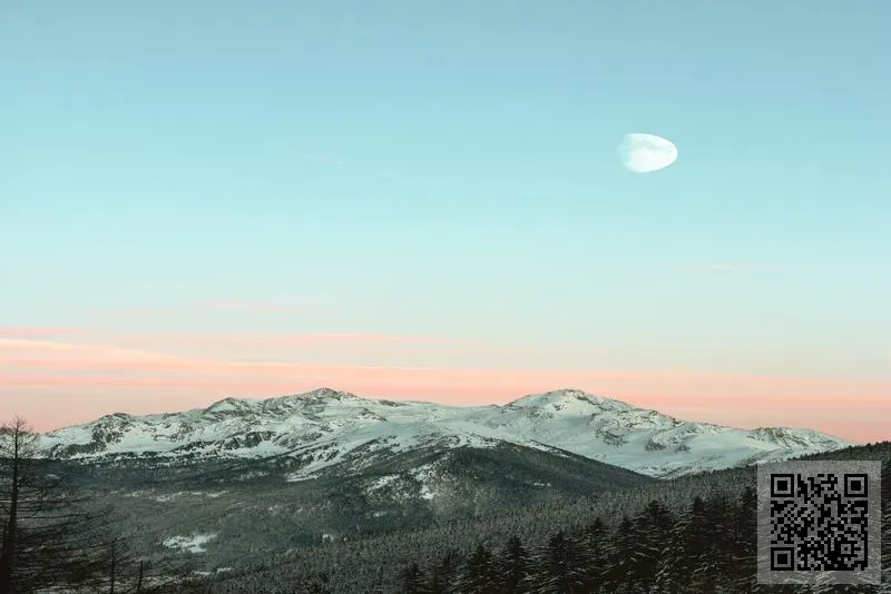 亞洲珪素科學協會有限公司