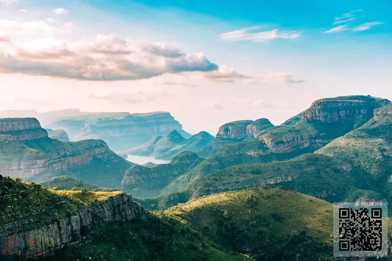 泰沃克貿易有限公司