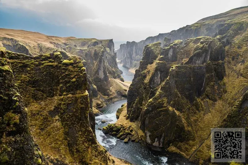 卡特琳娜環球有限公司