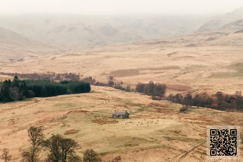 香港航誠貿易有限公司